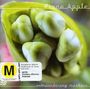 Fiona Apple: EXTRAORDINARY MACHINE (+DVD), CD