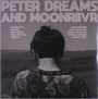 Im oberen Teil steht: "PETER DREAMS AND MOONRIIVR". Unten ist ein Mann von hinten in tropischem Hemd zu sehen.