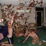 Drei junge Männer werfen spielend Karten in die Luft in einem Wohnzimmer mit bunten Möbeln und Teppich.