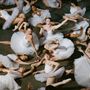 Tänzerinnen in weißen Tutus auf dem Boden in verschiedenen Posen. Sie tragen Ballettschuhe und weiße Trikots.
