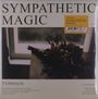 Typhoon: Sympathetic Magic (Moon Phase Vinyl), LP