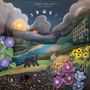 Joan Shelley: Real Warmth, LP