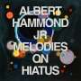Albert Hammond Jr (The Strokes): Melodies On Hiatus, CD