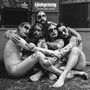 Håndgemeng: Satanic Panic Attack (Limited Edition) (Grey Marble Vinyl), LP