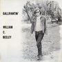 Will Beeley: Gallivantin', CD