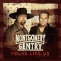 Montgomery Gentry: Folks Like Us, CD