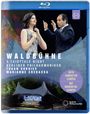 : Berliner Philharmoniker - Waldbühnenkonzert 2019 "A Fairytale Night", BR