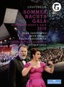 : Grafenegg - Sommernachtsgala 2016, DVD