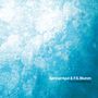 F.S. Springintgut / Blumm: The Bird And White Noise, CD