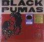 "BLACK PUMAS" in großer Schrift, darunter zwei schwarze Pumas auf rotem Hintergrund, Sticker: "LIMITED EDITION EXCLUSIVE COLOR".