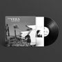 „The Veils - The Runaway Found“, Schallplatte mit Albumcover: Autoheckflossen und Yucca-Palme in Landschaft.