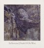 Sol Invictus: Death Of The West (Re-Release), CD
