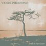 Venus Principle: Stand In Your Light (Hardcover Book), CD,CD