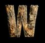 WellBad (Daniel Welbat): Bad Habits, CD