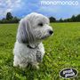 Monomonaco: Yeah Yeah, MAX
