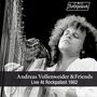 Andreas Vollenweider: Live At Rockpalast 1982, LP