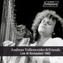 Andreas Vollenweider: Live At Rockpalast 1982 (Limited Edition) (Colored Vinyl, Auslieferung nach Zufallsprinzip) (weltweit exklusiv für jpc!), LP