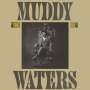 Muddy Waters: King Bee, CD