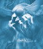 Mudvayne: Mudvayne, CD