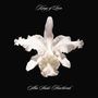 Kings Of Leon: Aha Shake Heartbreak (180g), LP