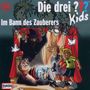 : Die drei ??? Kids 24: Im Bann des Zaubers, CD