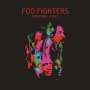 Foo Fighters: Wasting Light, CD
