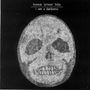 Bonnie 'Prince' Billy: I See A Darkness, CD