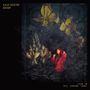 Julia Holter: Aviary (180g) (Limited-Edition) (Clear Vinyl), LP,LP