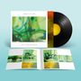 "JAMES ELLIS FORD - LOST IN ANOTHER WORLD" auf einem Albumcover, daneben eine Schallplatte und ein offenes Booklet.