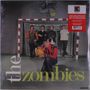 „the zombies“ in weiß und grün. Gruppe posiert in Sporthallentor, Person vorne mit gelbem Ball.