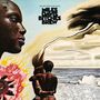 Miles Davis: Bitches Brew (180g), LP,LP