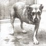 Alice In Chains: Alice In Chains, CD