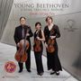 Ludwig van Beethoven: Streichtrio Nr.5 (180g /45rpm), LP