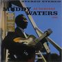 Muddy Waters: At Newport 1960 (180g) (Deluxe-Edition), LP
