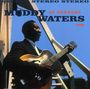 Muddy Waters: Muddy Waters At Newport (140g), LP