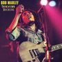 Bob Marley: Trenchtown Rockers (Limited Edition) (Red-Yellow-Green Vinyl), LP