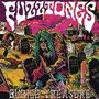 The Fuzztones: Buried Treasure, CD
