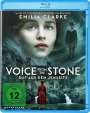Eric D. Howell: Voice from the Stone (Blu-ray), BR