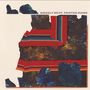Grizzly Bear: Painted Ruins (180g), LP,LP