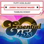 Johnny Big Moose Walker: Puppy Howl Blues / Rambling Woman, CDM