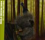 Madlib: Medicine Show V.11:Low Budget, CD