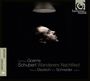 Franz Schubert: Lied-Edition Vol.8 (Matthias Goerne) - "Wanderers Nachtlied", CD,CD