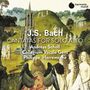 Johann Sebastian Bach: Kantaten BWV 35,54,170, CD