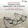 Franz Schubert (1797-1828): Streichquintett D. 956, CD