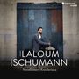 Robert Schumann (1810-1856): Novelletten op.21, CD