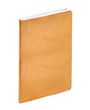 GESCHÄFT COLOR ML Susan gold 2027, Buch