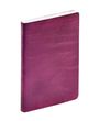 GESCHÄFT COLOR ML Susan aubergine 2027, Buch