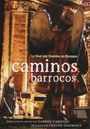 Caminos Barrocos - Südamerikanische Barockmusik, DVD