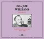 Big Joe Williams (Guitar / Blues): Baby Please Don't Go, CD,CD