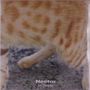 Dublon: Nectar, LP